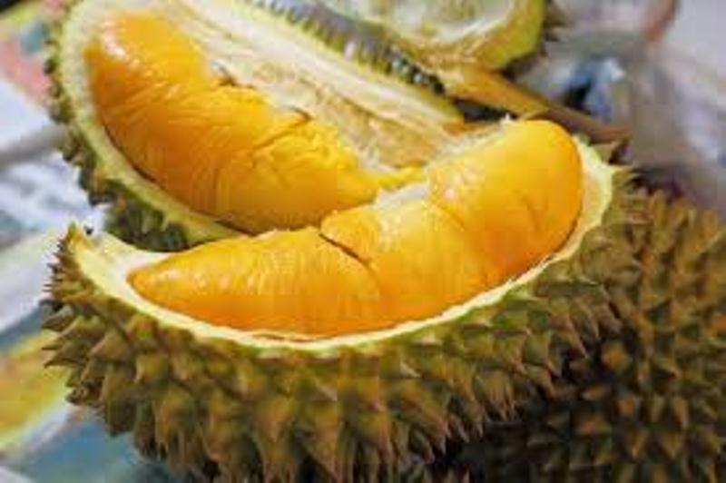 Dua Ribu Peserta Siap Ikuti Festival Durian Montong di Jogja City Mall
